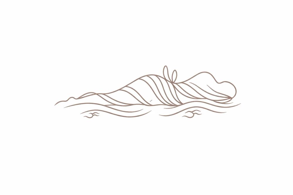 Seaweed Body Wrap