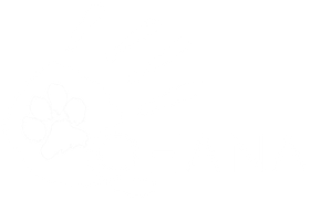 Hundeschule OHANA Florine Ermatinger