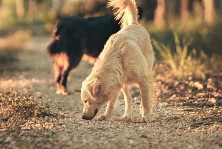 Social Walk Gruppe